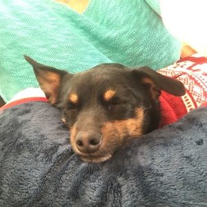 Meet your Posher, Heather